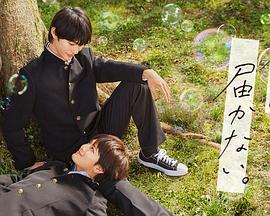 温州网站优化价格怎么样